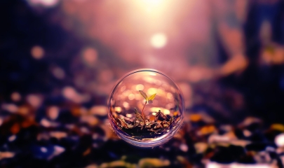 In dolorum vero adipisci