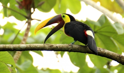 Qui eum recusandae reiciendis