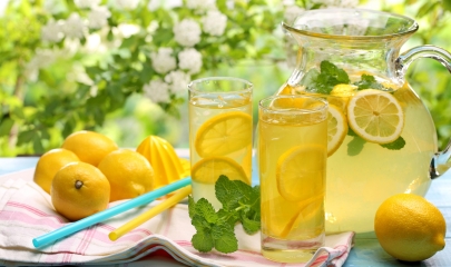 Officia ut est dolor